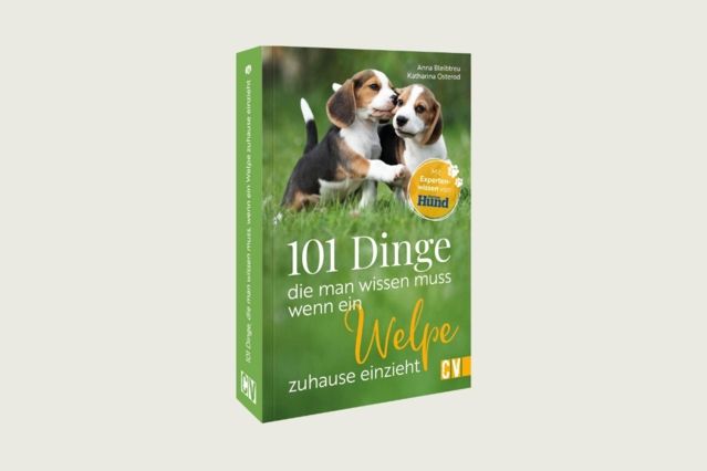 101 Dinge, die man wissen muss, wenn ein Welpe zuhause einzieht.jpg